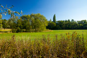 Surrounding Landscape